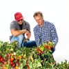 Bianco DiNapoli Diced Tomatoes Organic California Grown-8